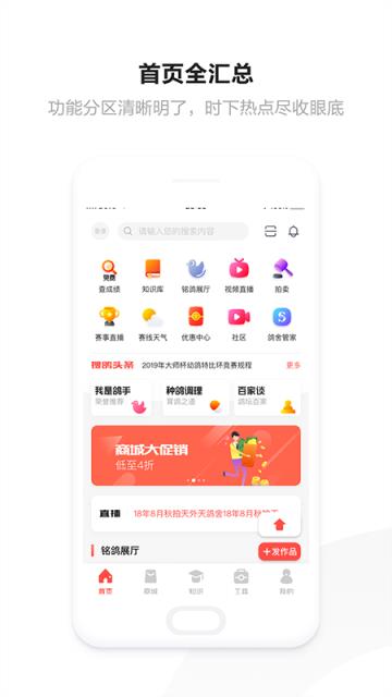 搜鸽网app