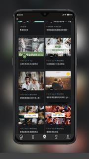 滤镜菌
