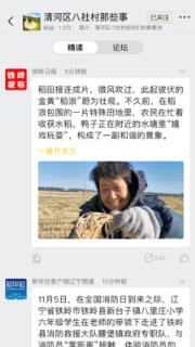 掌上滁州app手机