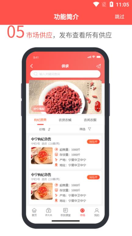枸杞掌中宝
