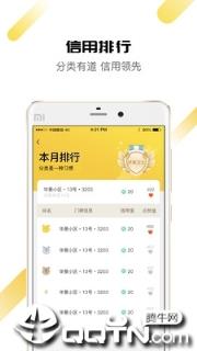 分类大叔