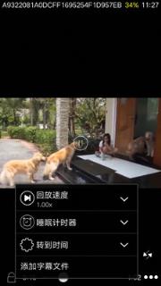 PP视频播放器