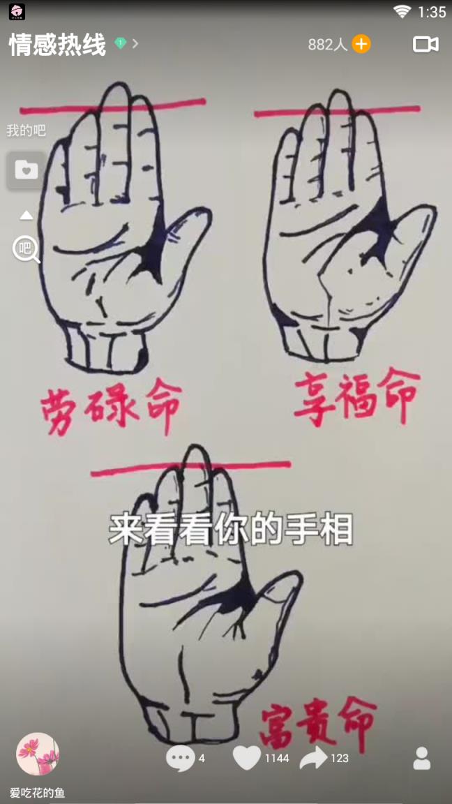 V8实拍小视频
