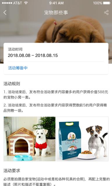犬易
