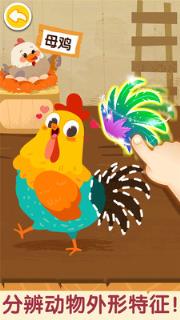 奇妙的动物家庭