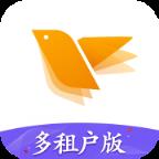 蜂鸟采编租户版app