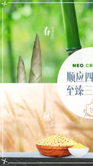 四季严选官方版下载