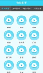狗狗助手斗狗神器