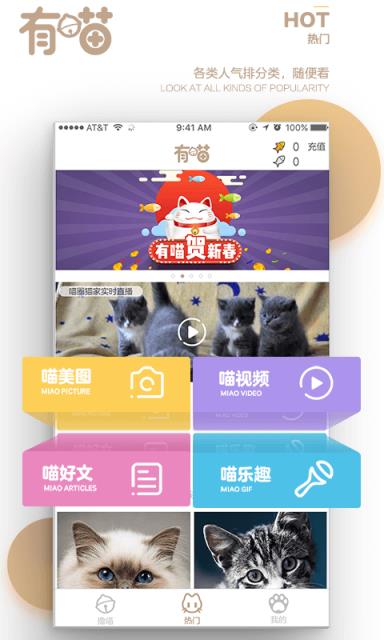 有喵云养猫app