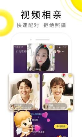 伊对相亲交友平台