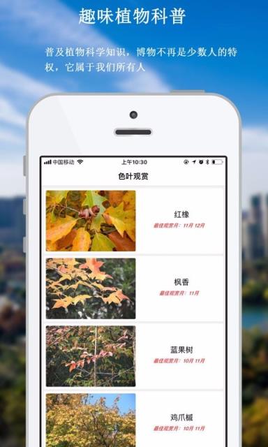 青枫公园导览app
