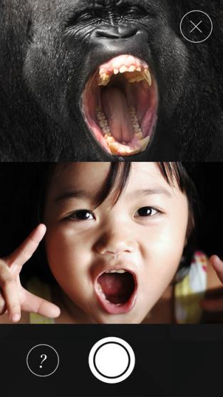 WWF Together折纸更新包