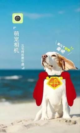 萌宠相机安卓版下载