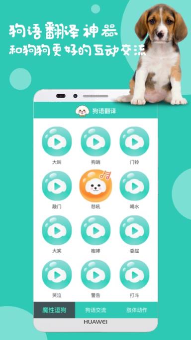 狗语翻译app
