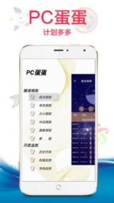 PC蛋蛋28计划
