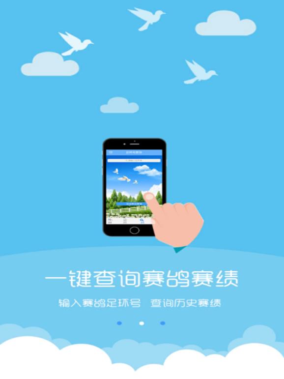 中鸽网直播app
