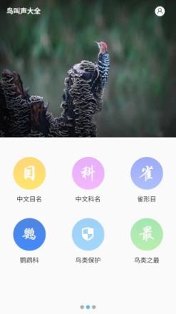 鸟叫声大全