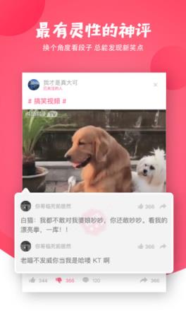 内涵段子淼菟兔版