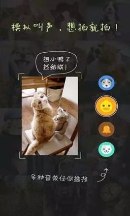 萌宠相机安卓版下载