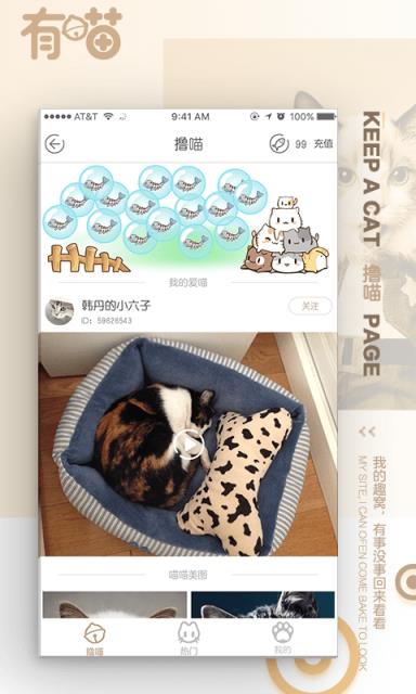 有喵云养猫app