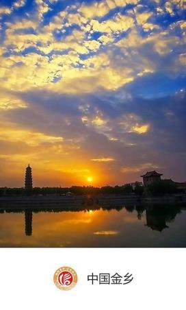 中国金乡app
