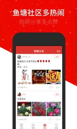 微鲤头条2021清爽版