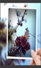 趣拍玩图照相机