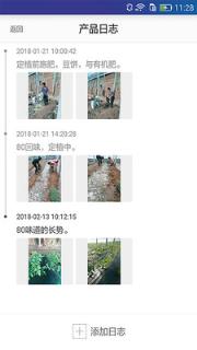 凤岐追溯