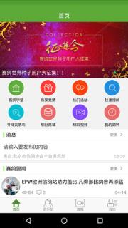 赛鸽世界
