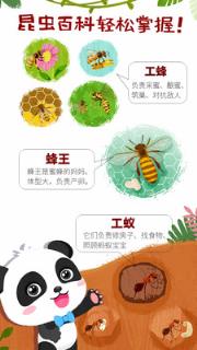 奇妙昆虫世界APP