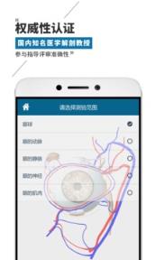 维萨里3D解剖教学