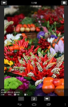 Canon Camera Connect App下载