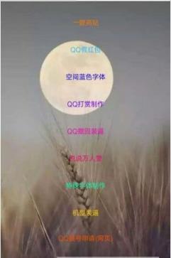 鱼七魔盒官方最新版