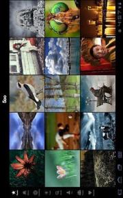 专业摄影师图片社区