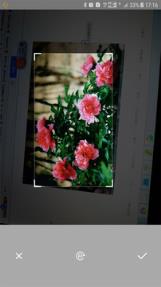 万能拍照识别app下载