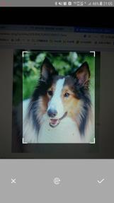 万能拍照识别app下载