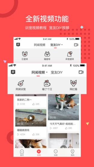 阿闻宠物app
