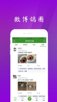 中信网app(赛鸽直播平台)
