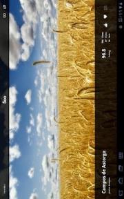 专业摄影师图片社区