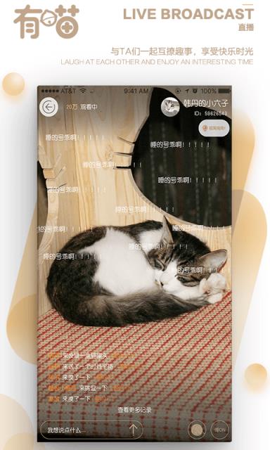 有喵云养猫app