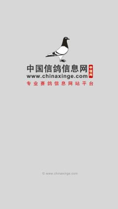 中信网app(赛鸽直播平台)