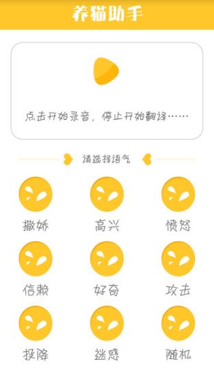 逗猫养猫助手下载