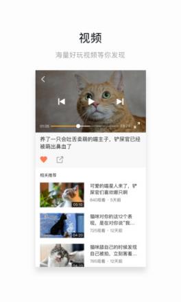 网易菠萝视频APP安卓
