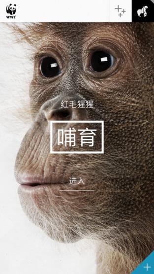 WWF Together折纸更新包