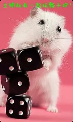 手机宠物可爱小仓鼠