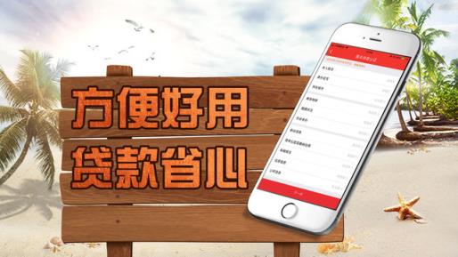 叮咚白条app