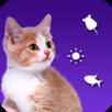 逗猫游戏猫语翻译app