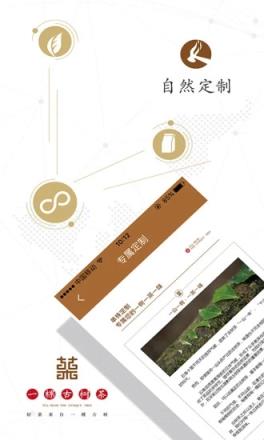 一棵古树茶