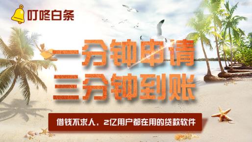 叮咚白条app