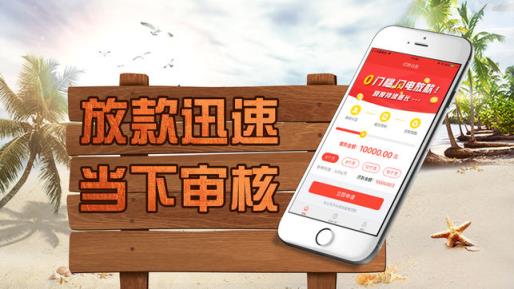 叮咚白条app
